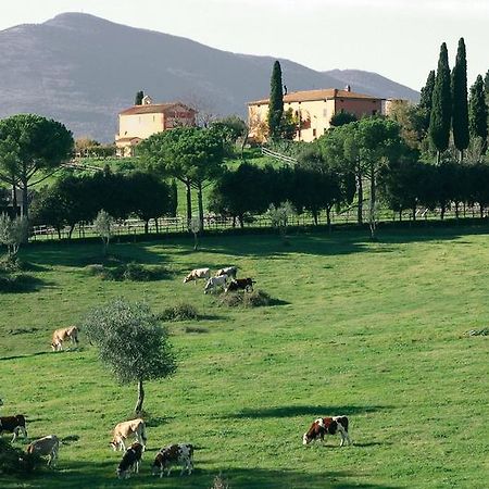 Poggiovalle Tenuta Italiana Belvedere  Екстериор снимка